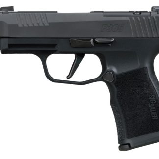 P365XL Comp 380 ACP 3.1″ OR  XRAY3 BLK 2/12rd