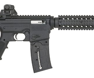 715T FT 22LR 16.25″ Blued Syn/AdjS 25rd