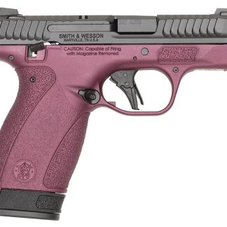 S&W BODYGRD 2.0 380ACP   14661 TS H-319 BCF