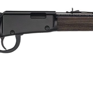 HENRY H001GG22M GARDEN GUN .22 WMR SHOTSHELL