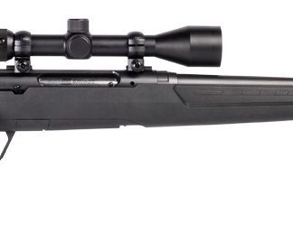 SAV 57987 AXIS XP 350L DBM MATTE