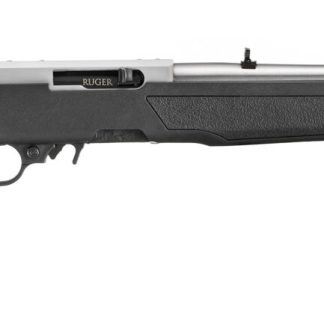RUG 10/22 22LR 18 SS