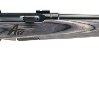 SAVAGE ARMS A17 SPORTER 17WSM BL/LAM 22″