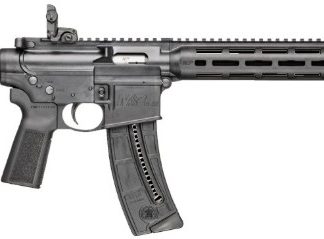 SW M&P15-22 SPORT 16.5 B5 10RD