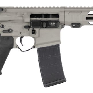 APF 5.56 PISTOL 2.0 10.5 BULL SHARK GRY