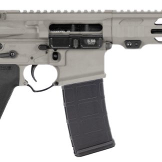 APF 5.56 PISTOL 2.0 10.5 GRAY MLOK