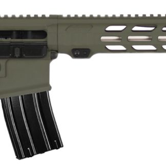 APF DMR 2.0 6MM ARC ODG 18 MLOK ACS 24RD