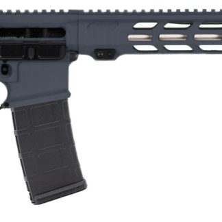 APF DMR 2.0 6MM ARC GRY 18 MLOK ACS 24RD