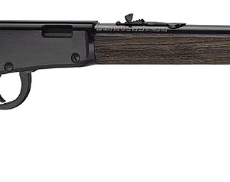 HENRY H1 GARDEN GUN 22LR 18.5 SHOTSHELL