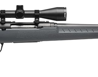 SAV AXIS 2 XP GRAY 22-250REM 22