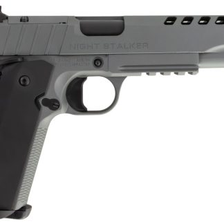 TISAS 1911 NIGHT STALKER SF 45ACP 5 TB GREY 2 8R