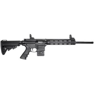 SW M&P15-22 SPORT 22LR 18 PC 10RD