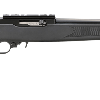New York Special Ruger 10/22