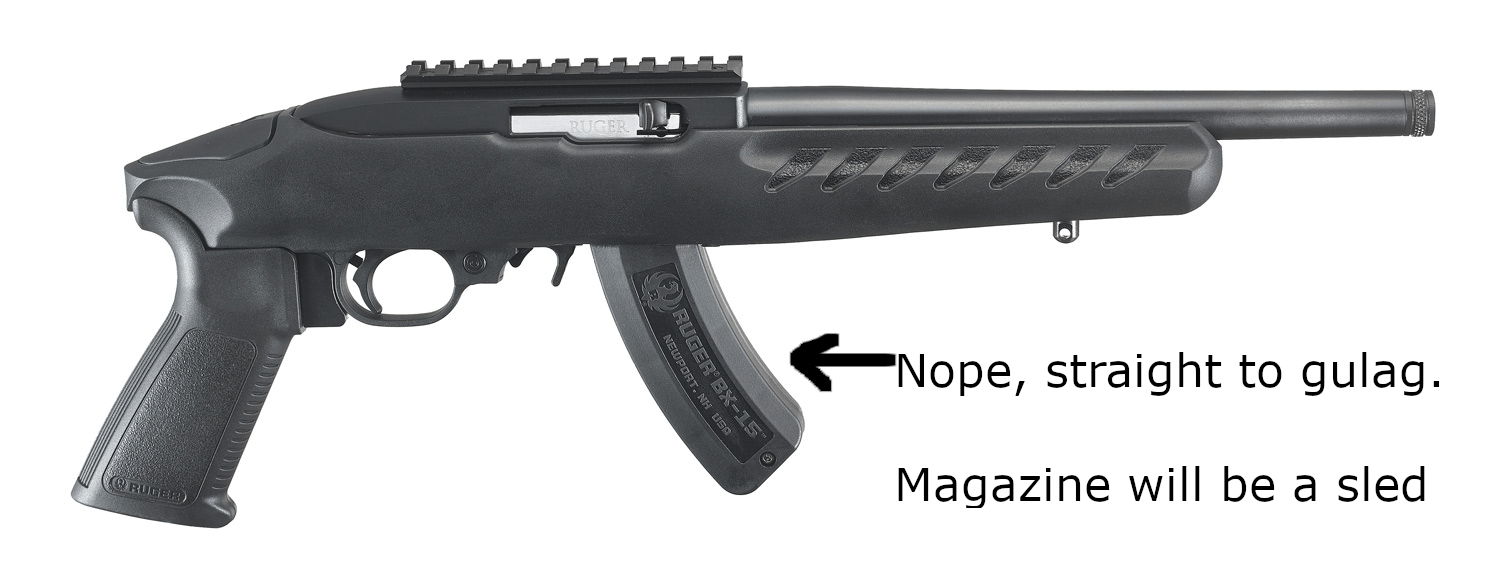 California-Legal SSE Ruger 10/22 Charger Clone, 8″