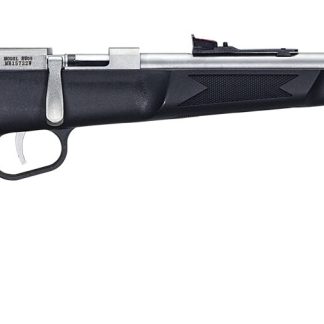 HENRY REPEATING ARMS MINI BOLT 22LR SS/SYN #