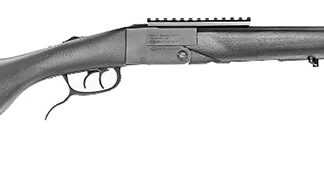 CHIAPPA DBL BADGER 410G/22LR SHT/RF