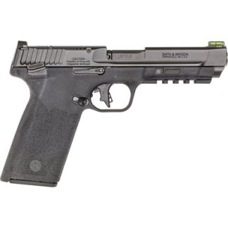 M&P 22 MAGNUM 22 WMR 4.35” BBL (2)10RD MAGS BLACK