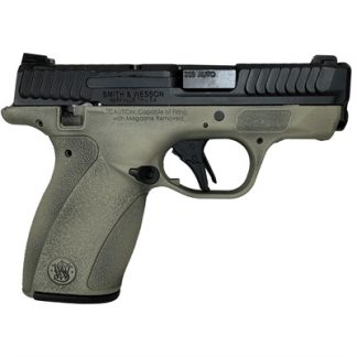 BODYGUARD 2.0 380 ACP W/SAFETY – DESERT VERDE W/BATTLEWEAR